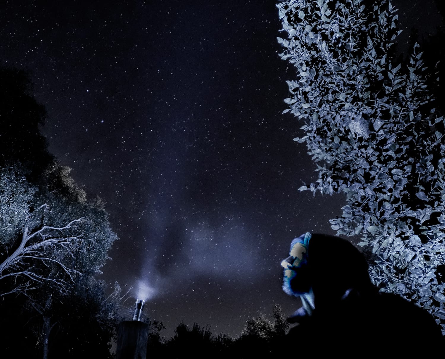 Night sky scene with Nelson E. Bolivar looking upward